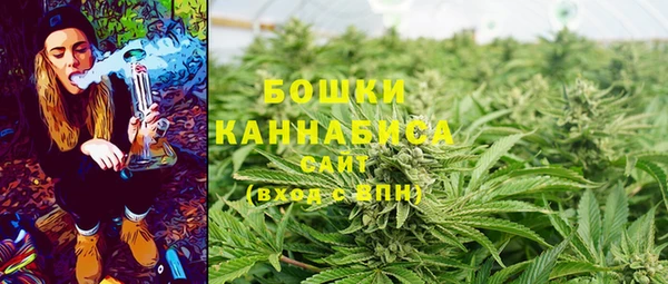 крисы Белокуриха