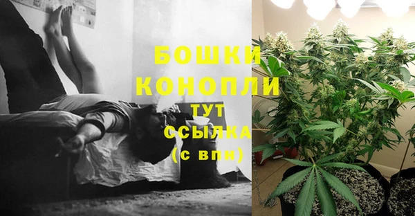 дмт Пролетарск