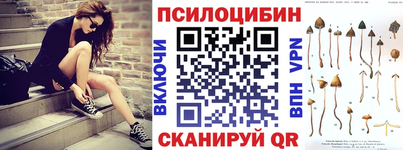 Галлюциногенные грибы прущие грибы  Купить  Курган 